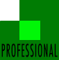 professional